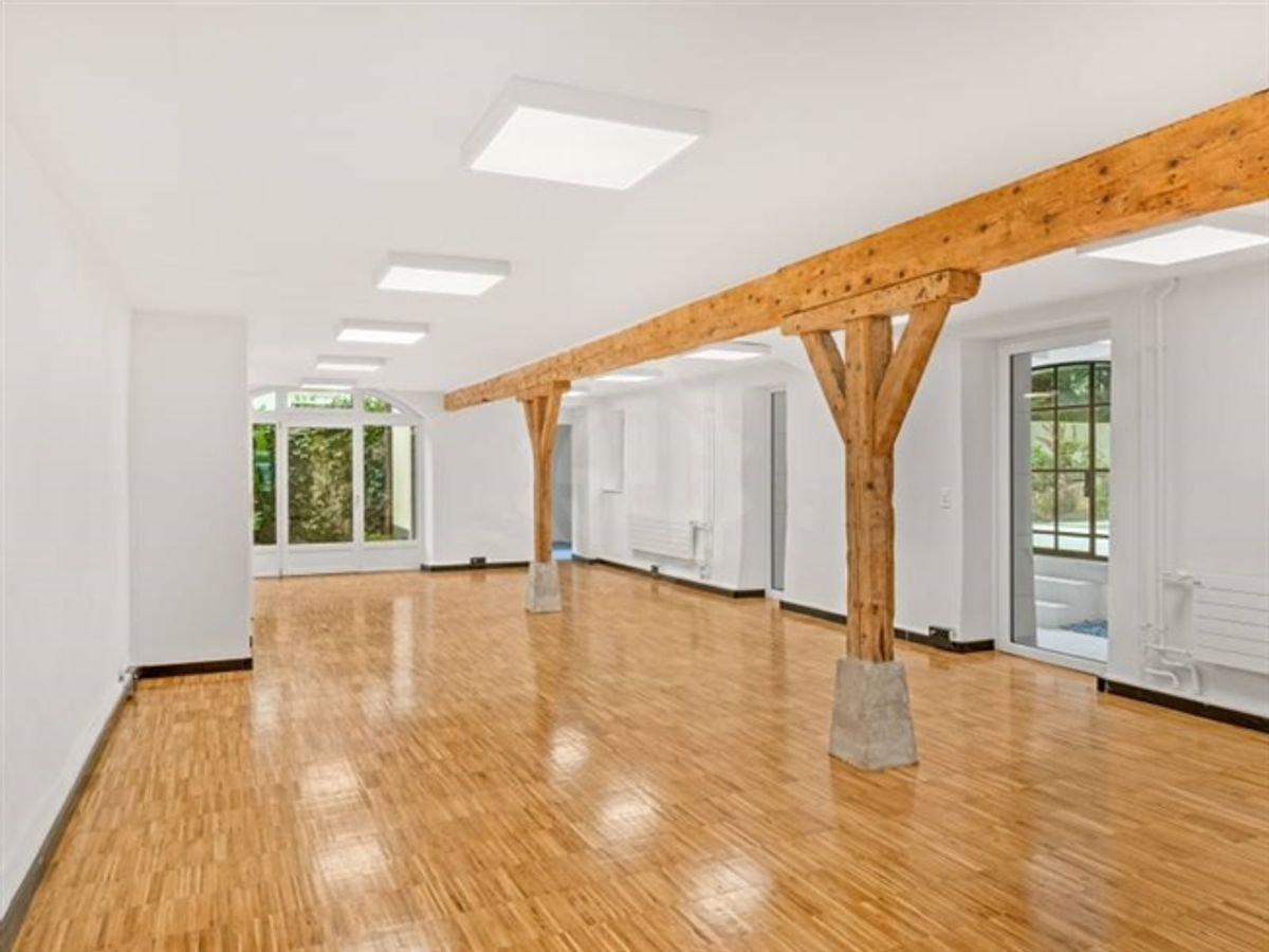 Außergewöhnliche Villa - Chêne-Bougeries - 11