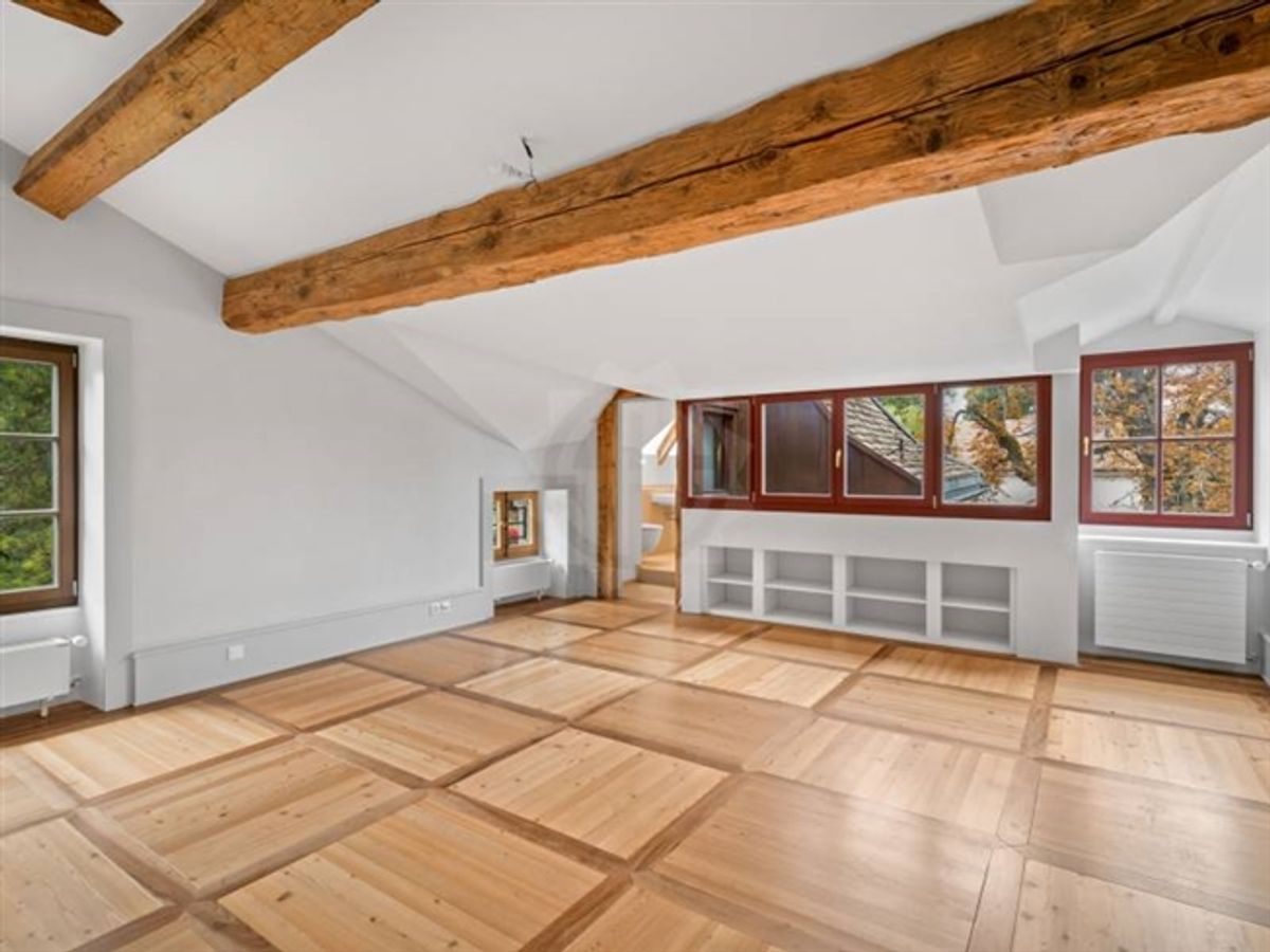 Außergewöhnliche Villa - Chêne-Bougeries - 5