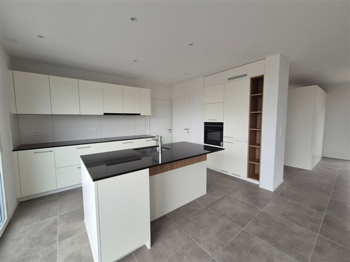 Neubau-Villa mit 4.5 Zimmern zu vermieten! - 2