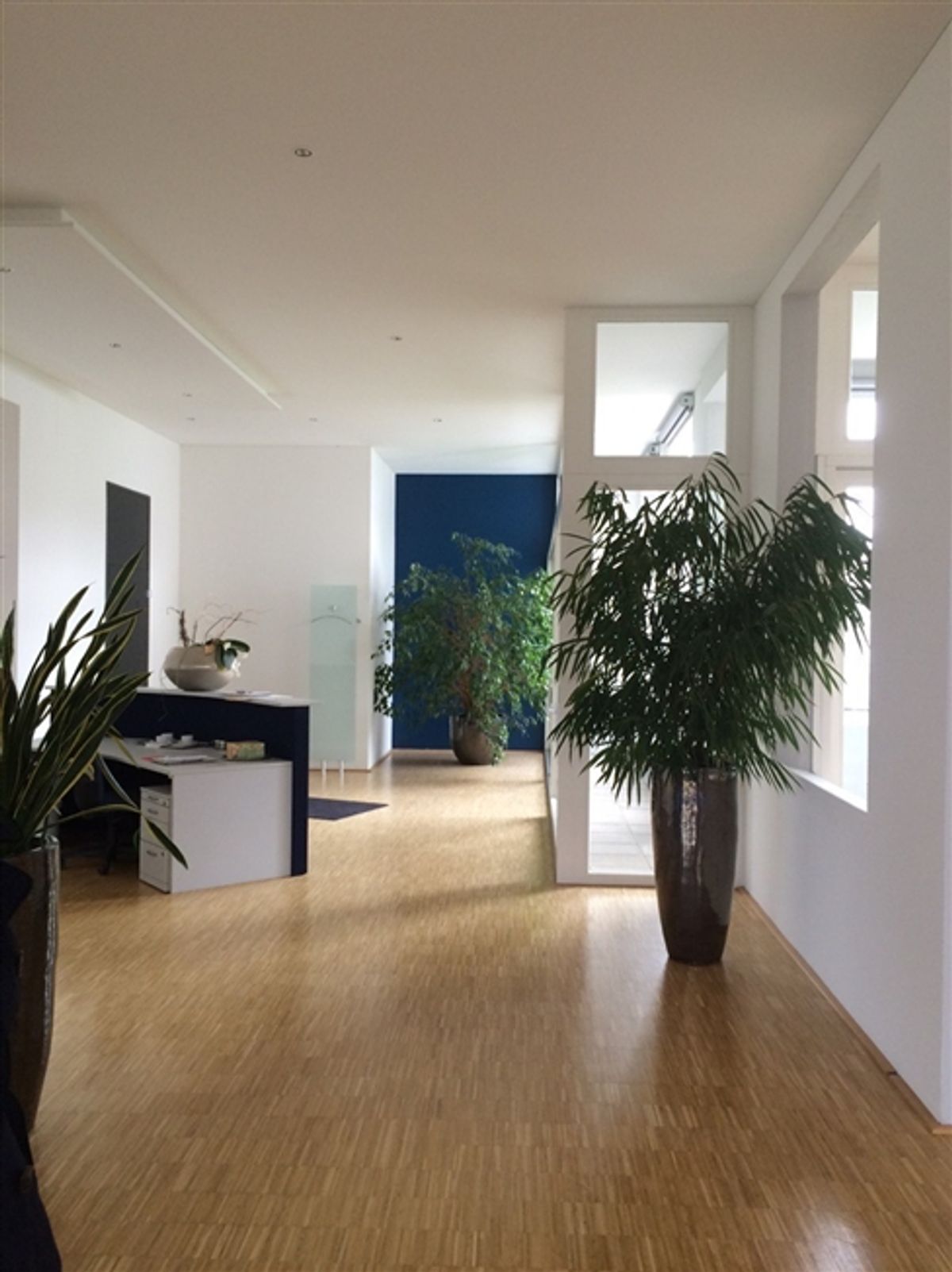 286 m² Büro-Loft & Tiefgaragenplätze - 2