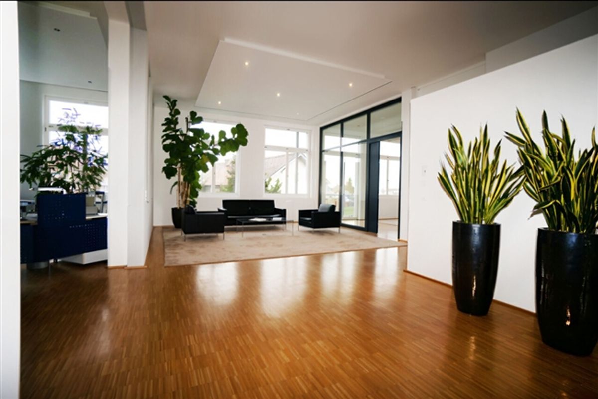 286 m² Büro-Loft & Tiefgaragenplätze - 3