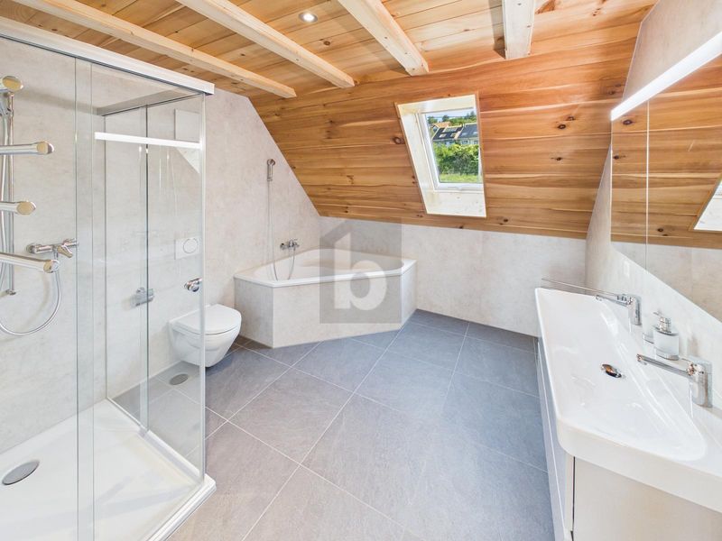 NATURNAH,GROSSZÜGIG MIT GALERIE - 5
