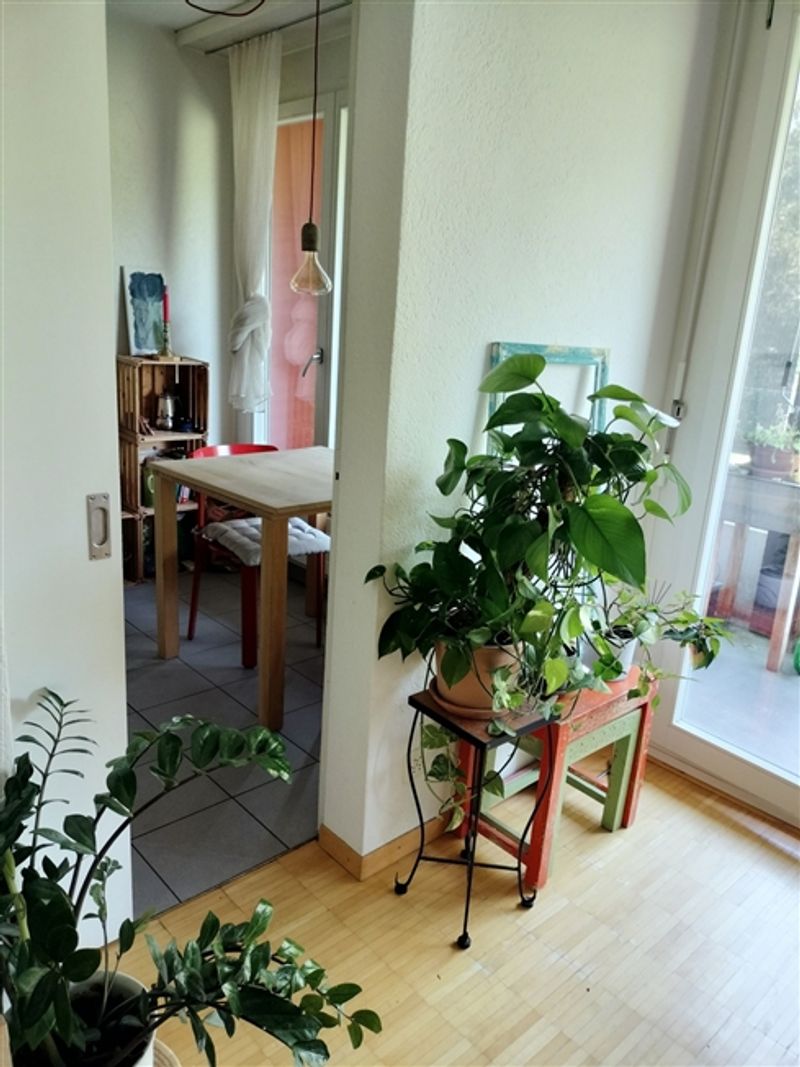 STUDIO IN BERN - OBSTBERG/SCHOSSHALDE, MÖBLIERT, TEMPORÄR - 3