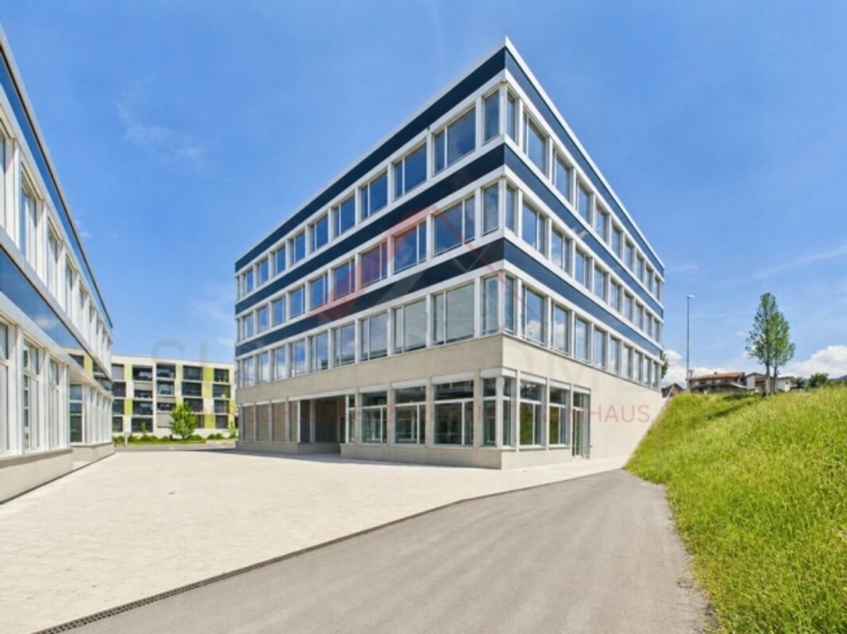 Gewerbefläche mit Zukunft - 160 m² im modernen Neubau in Buchrain - 0