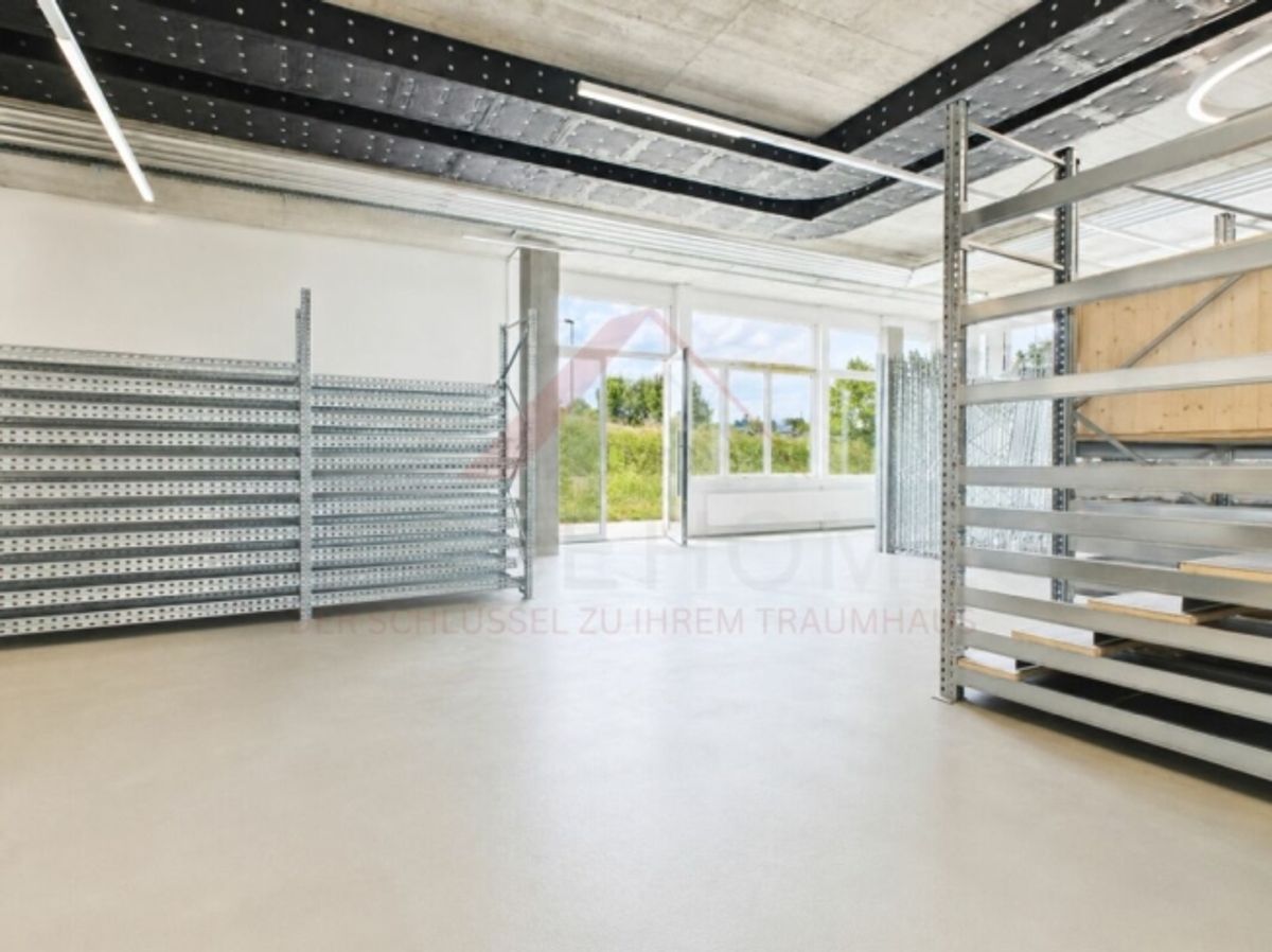 Gewerbefläche mit Zukunft - 160 m² im modernen Neubau in Buchrain - 3