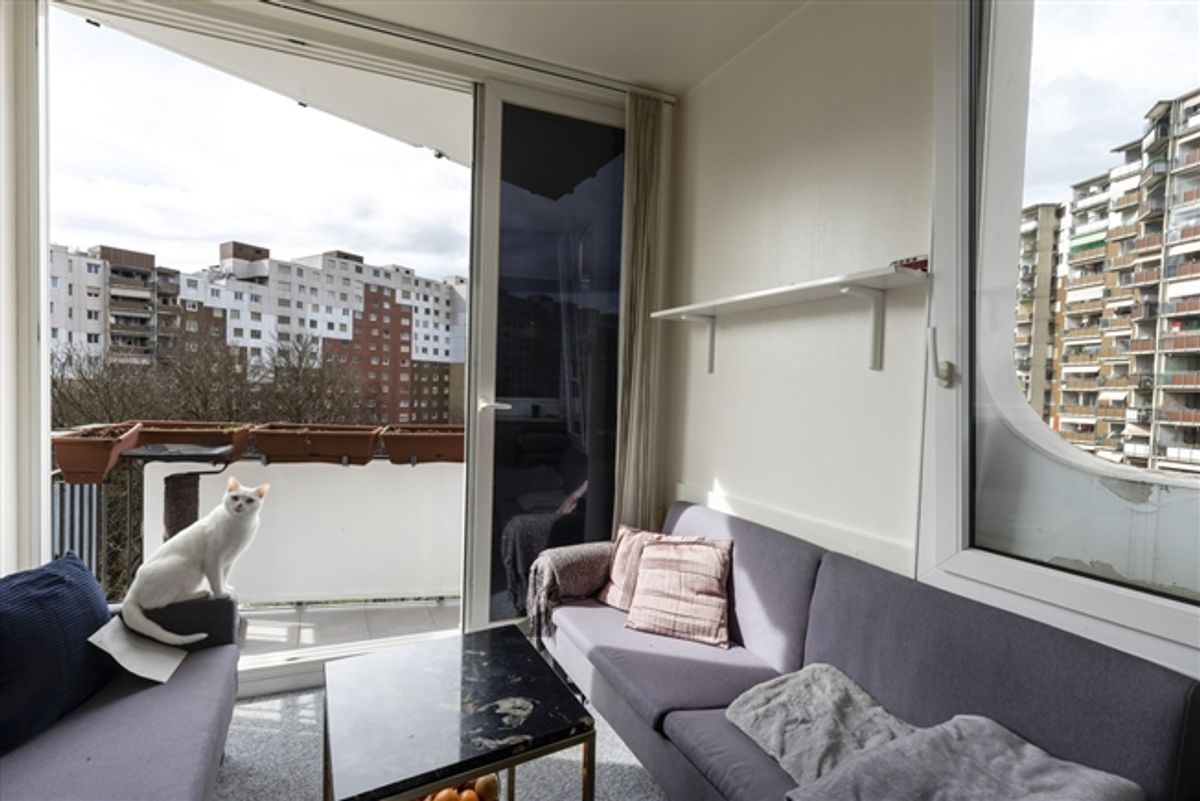 6,5-Zimmer-Durchgangswohnung - 2