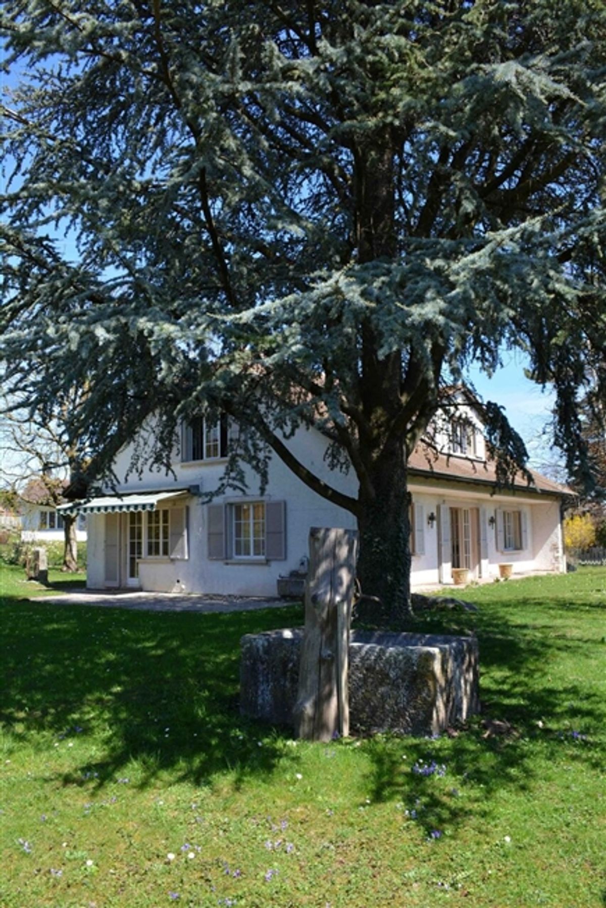 Geräumige 6.5-Zimmer-Villa in der Nähe aller Annehmlichkeiten - 1
