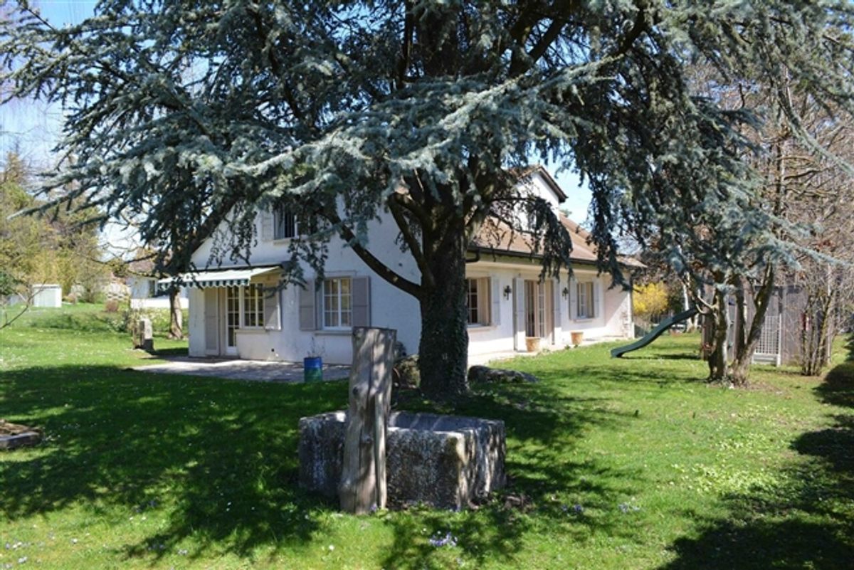 Geräumige 6.5-Zimmer-Villa in der Nähe aller Annehmlichkeiten - 3