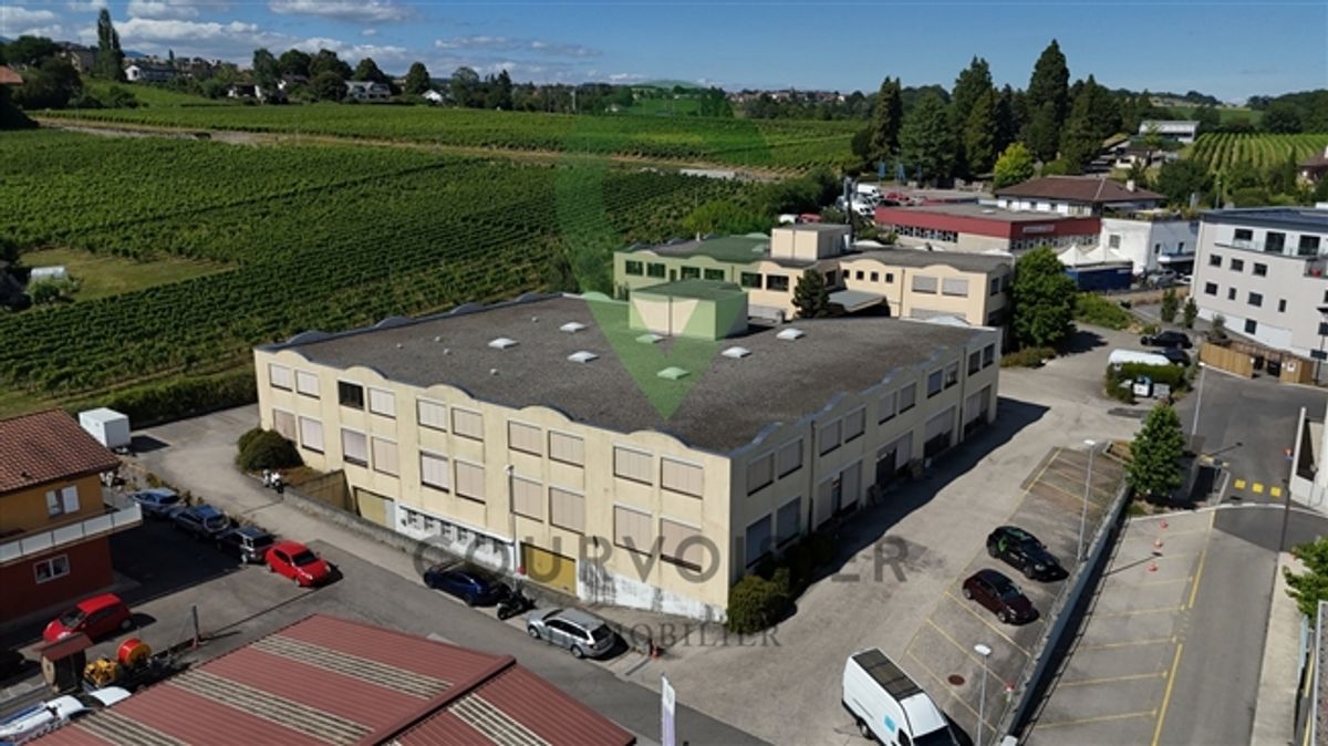 Gemischt genutzte Fläche Vermietung von Lagerräumen und Büroräumen - 9
