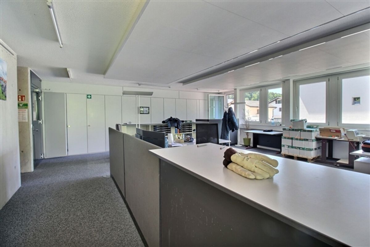 Industriegebäude mit Büros und Wohnungen - 7