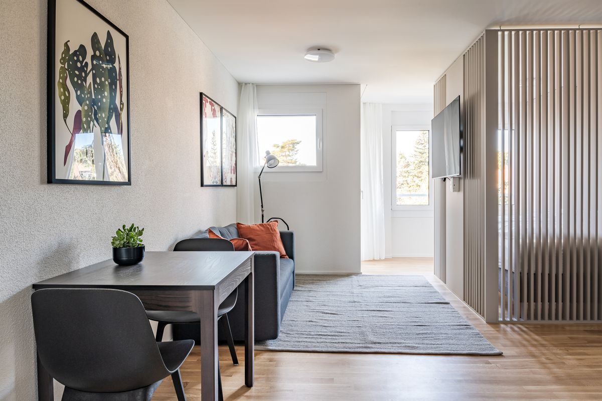 1.5 room flat - modern studio in the centre of Basel - 1