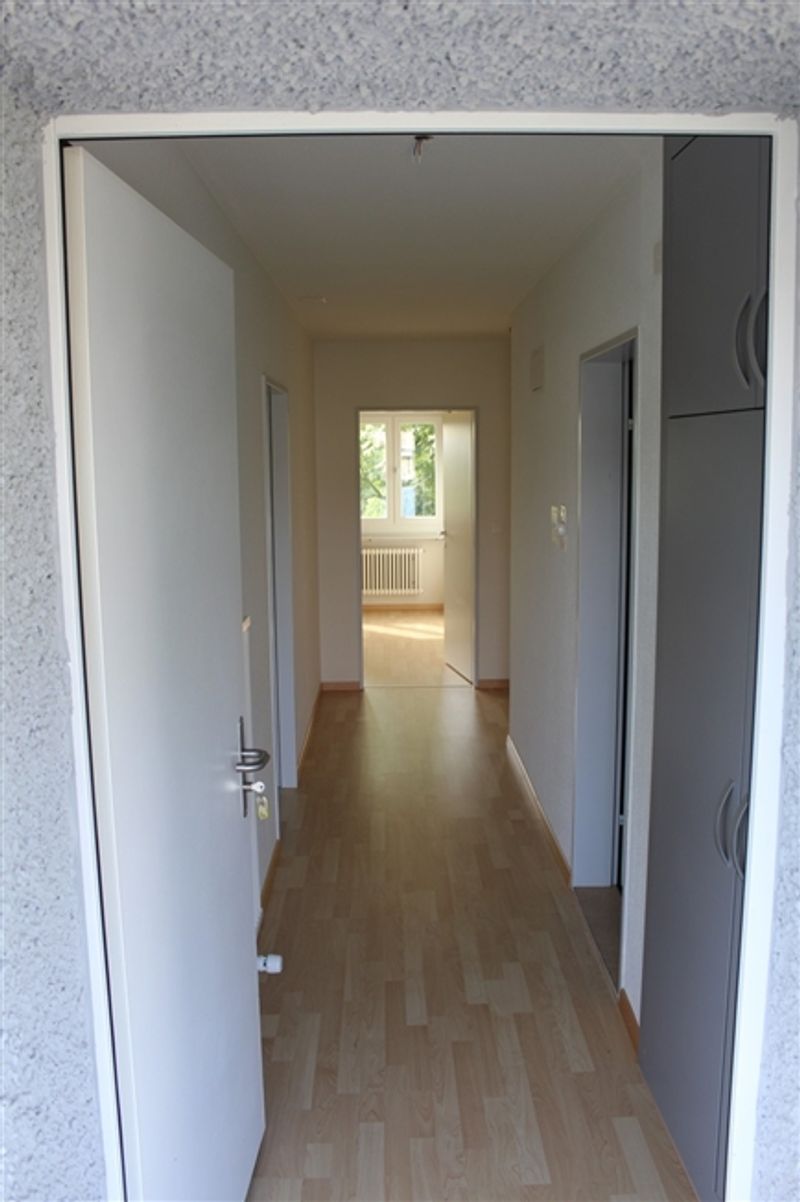 Helle 3-Zimmer-Wohnung in Oberglatt  ab sofort verfügbar - 3