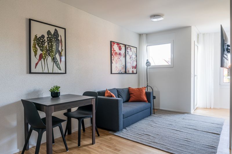 1.5 room flat - modern studio in the centre of Basel - 4