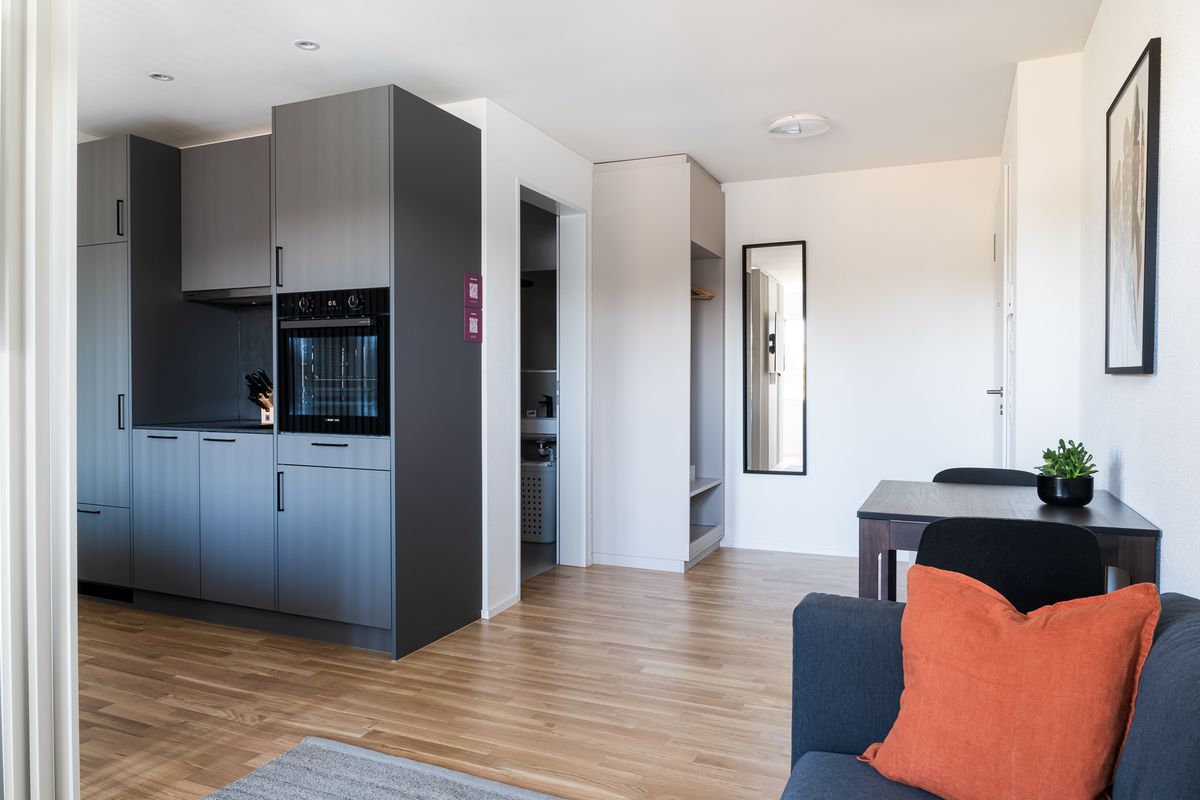 1.5 room flat - modern studio in the centre of Basel - 4