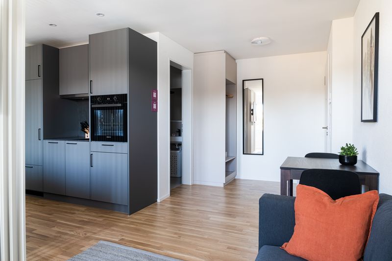 1.5 room flat - modern studio in the centre of Basel - 5