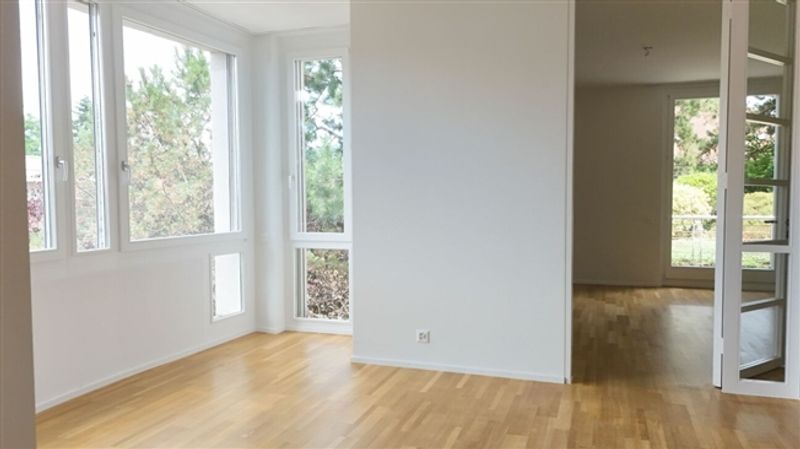 Renovierte Wohnung mit Cheminée, 2 Terrassen und Ziergarten - Bruderholz - 5