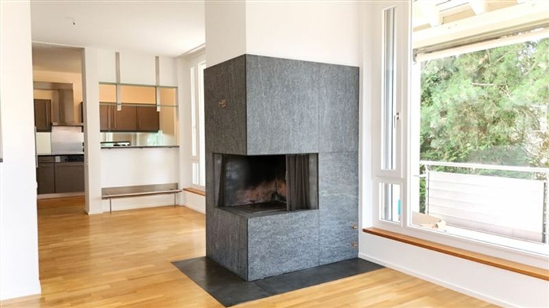 Renovierte Wohnung mit Cheminée, 2 Terrassen und Ziergarten - Bruderholz - 6