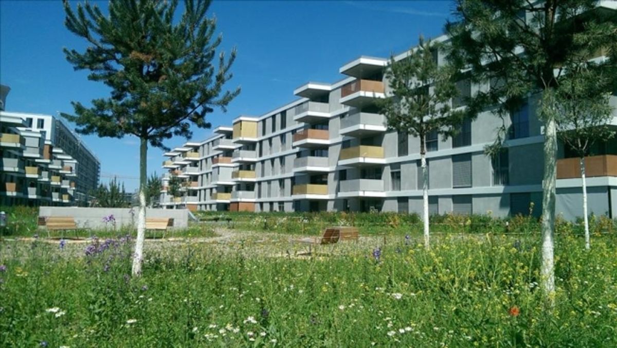Schöne Neubauwohnung mit Sitzplatz zu vermieten - 0