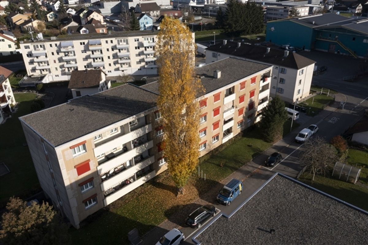 Hübsche Wohnung an zentraler Lage - 10