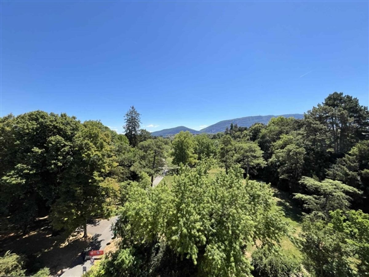 Prächtige Wohnung mit Blick auf den Park - 2