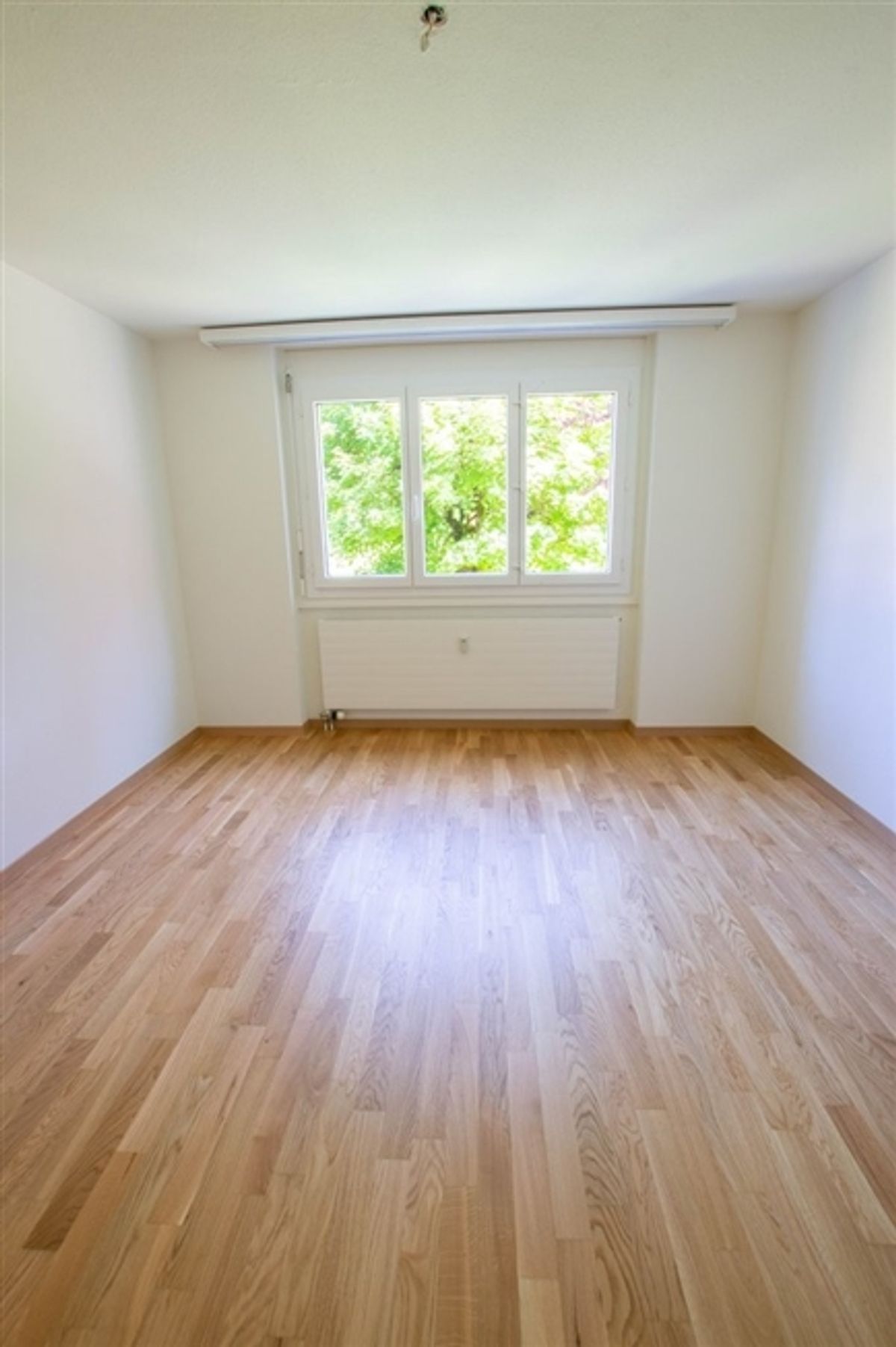Schöne 2.5-Zimmerwohnung mit Sicht ins Grüne - 4