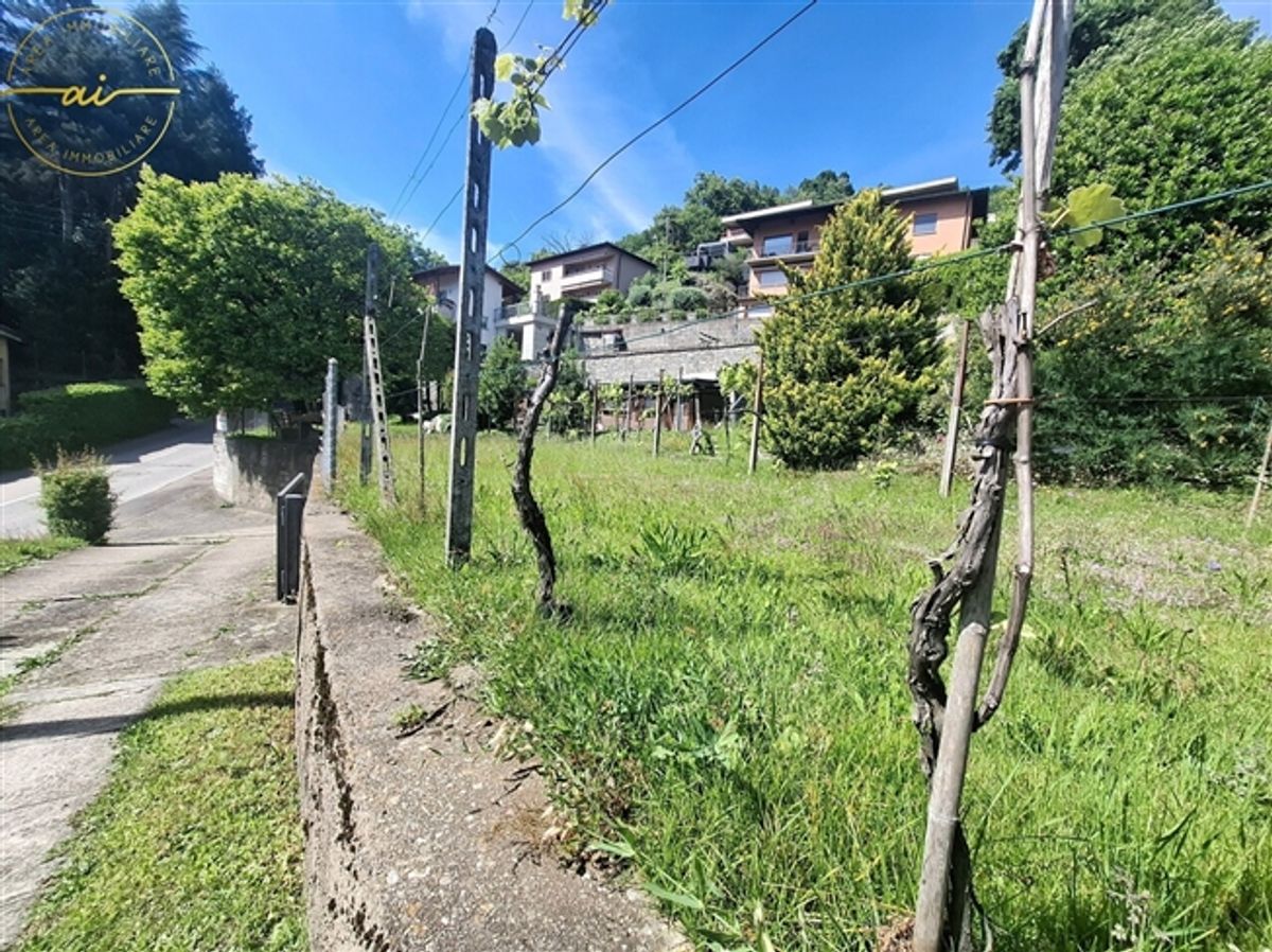 WUNDERHARTER BAULANDWERT MIT SEEBLICK IN SONVICO - 2
