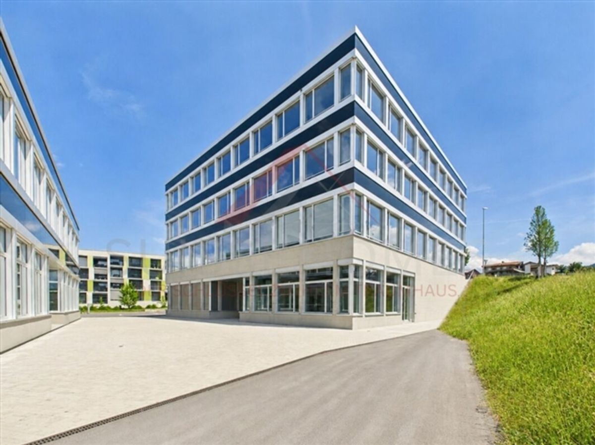 Gewerbefläche mit Zukunft - 160 m² im modernen Neubau in Buchrain - 0