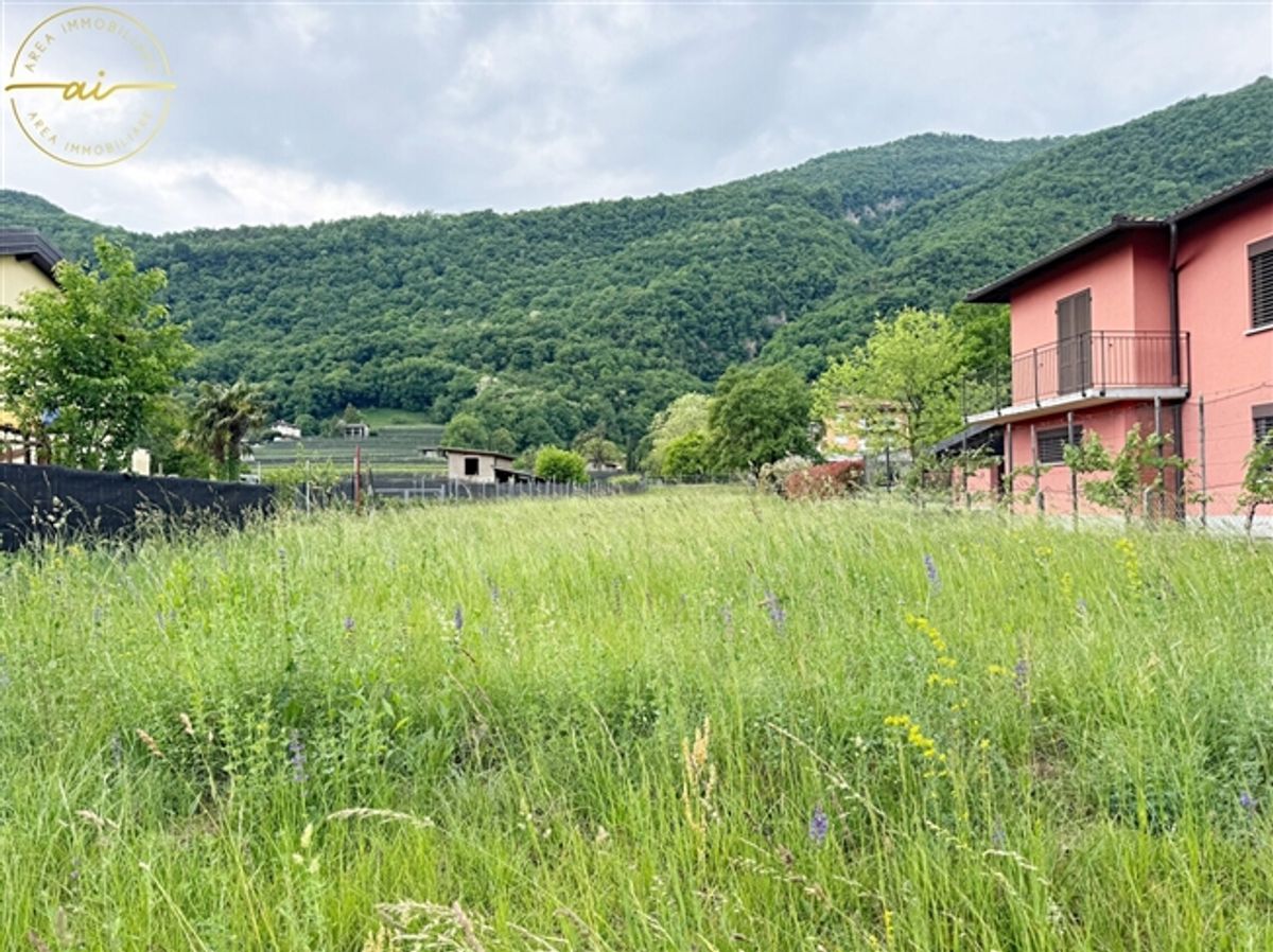 BAUGROUND IN ZENTRALER LAGE IN RIVA SAN VITALE - 0