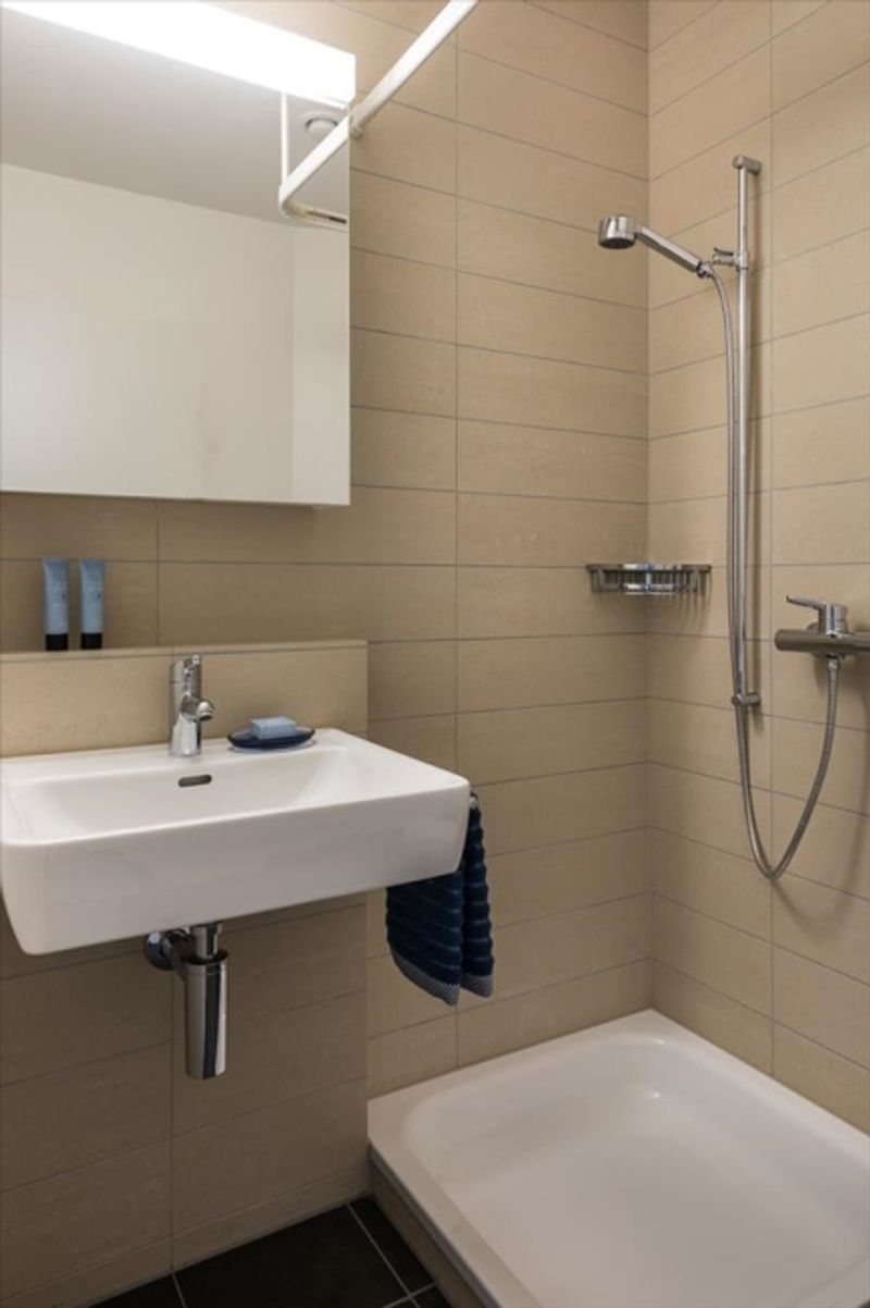 Moderne und grosszügie Wohnung sucht neuen Mieter! - 4
