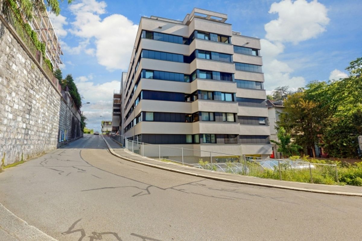 Neues Zuhause gesucht Wir haben es! - 0