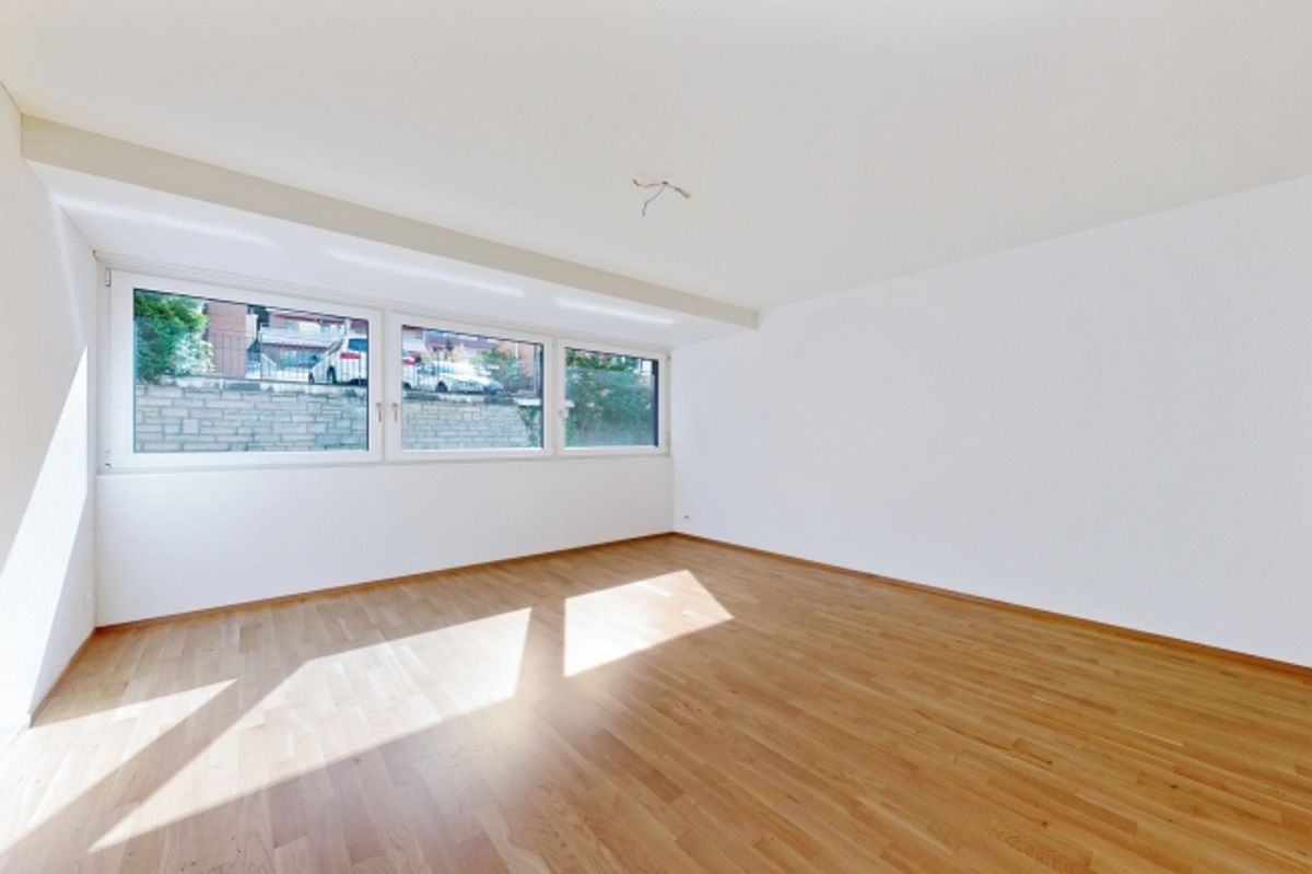 Neues Zuhause gesucht Wir haben es! - 5