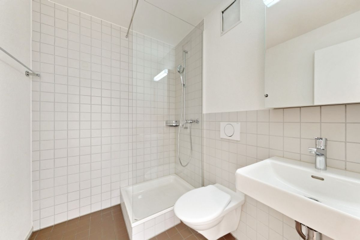 Neues Zuhause gesucht Wir haben es! - 7