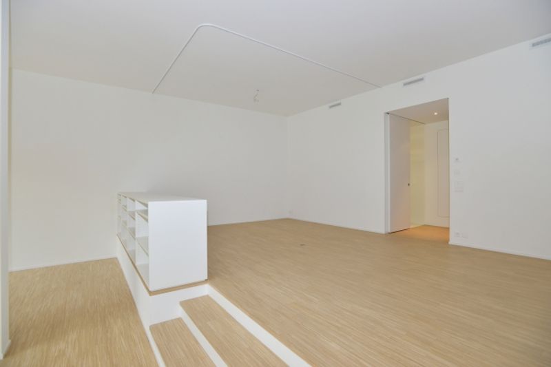 Grosszügige Loftwohnung im ROY - Winterthur - 5