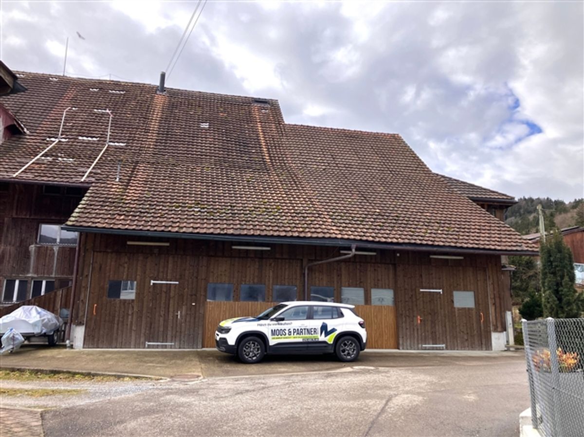 Ihr Projekt wartet Bauernhaus mit bewilligtem Umbau - seltene Chance - 1