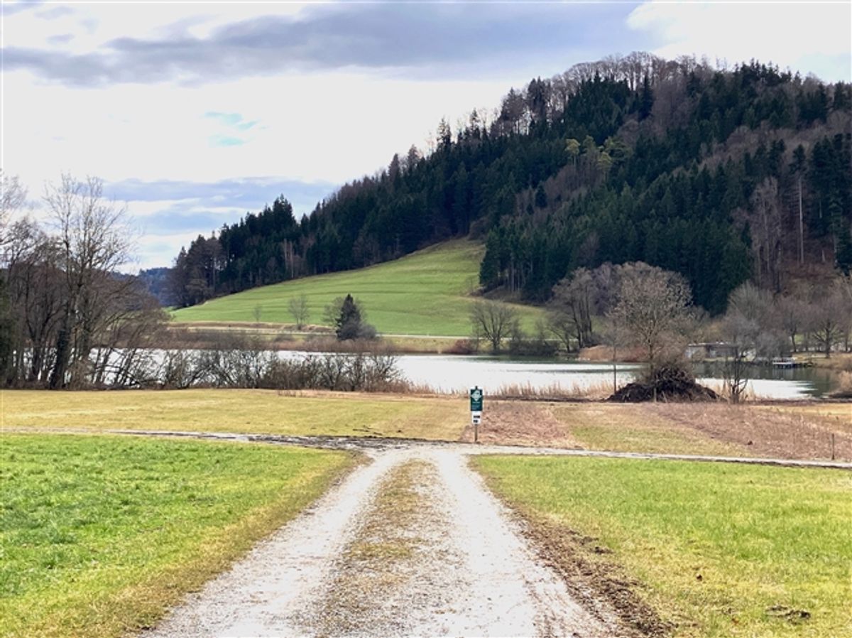 Ihr Projekt wartet Bauernhaus mit bewilligtem Umbau - seltene Chance - 2