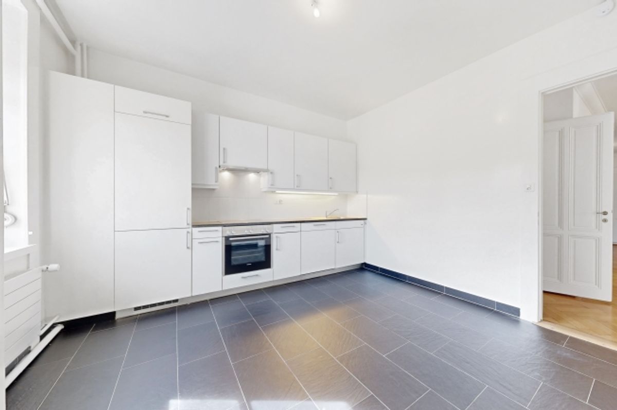 Magnifique logement au coeur de Genève - 3