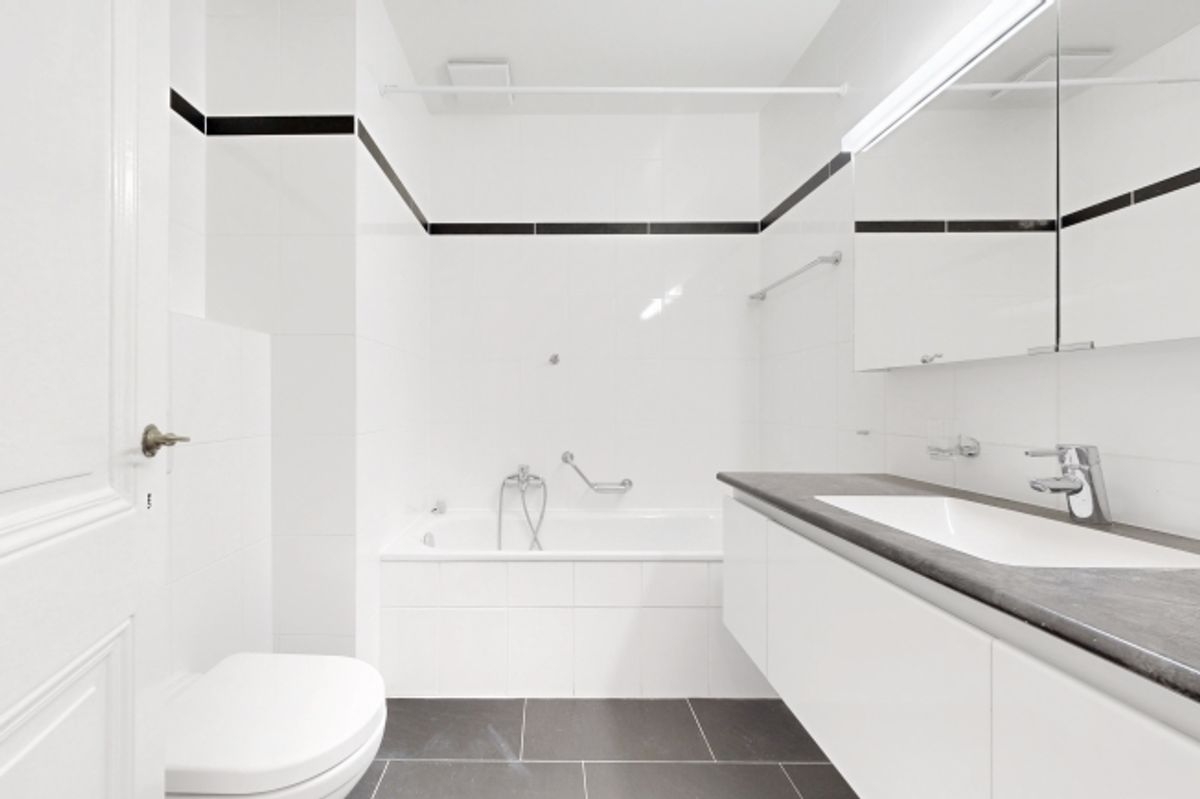 Magnifique logement au coeur de Genève - 6
