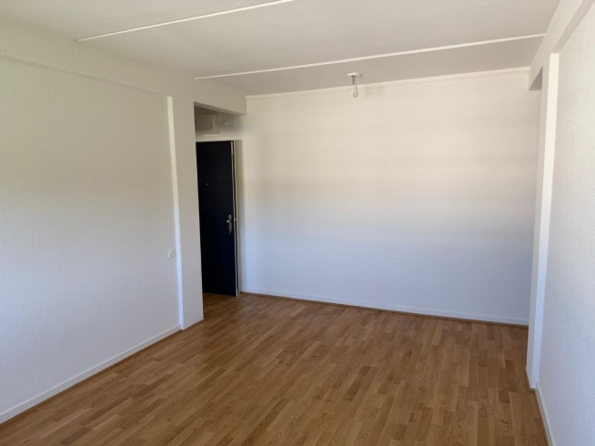 Profitez du charme de Carouge dans un cadre verdoyant et familial - 1