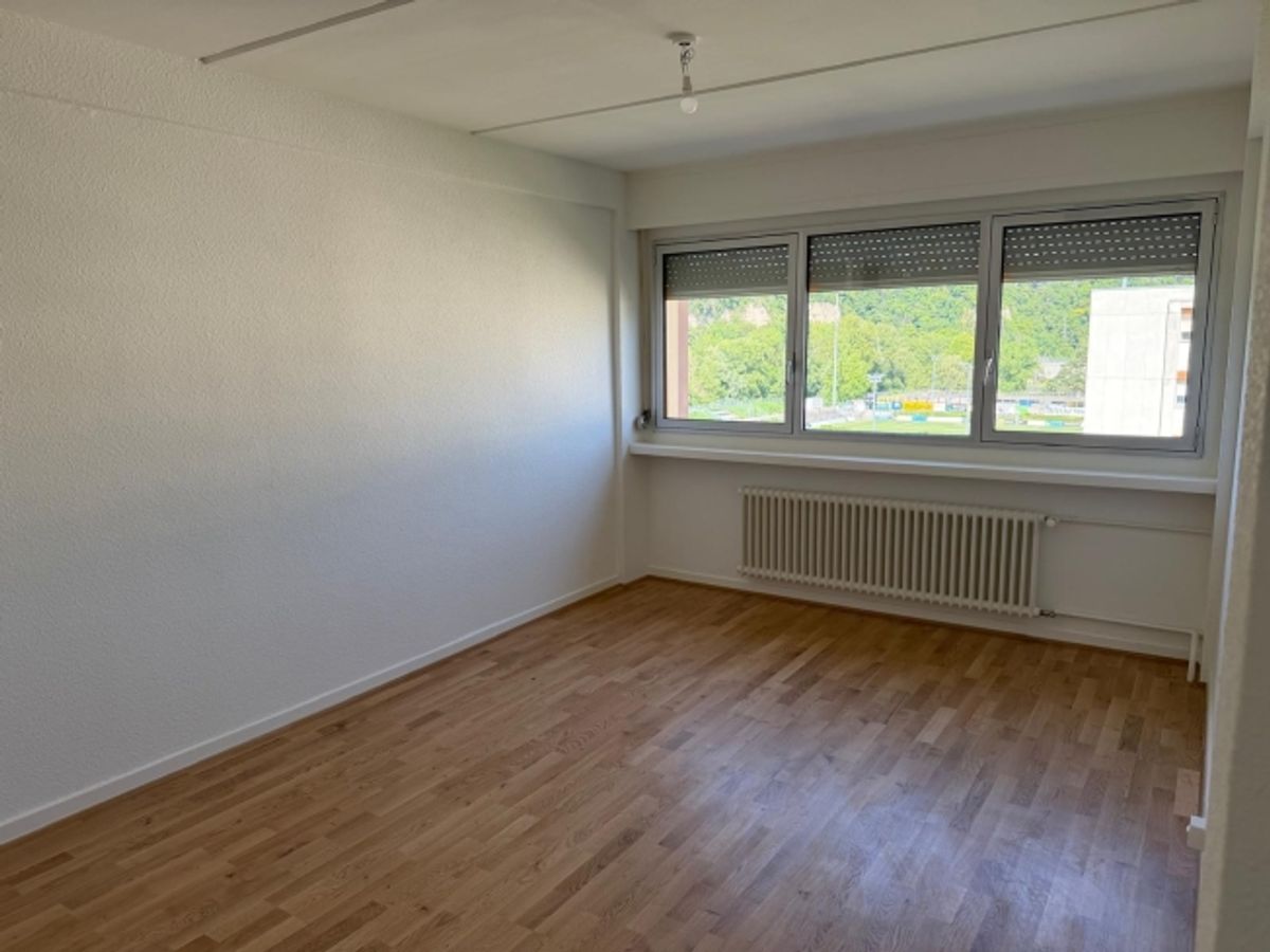 Profitez du charme de Carouge dans un cadre verdoyant et familial - 4