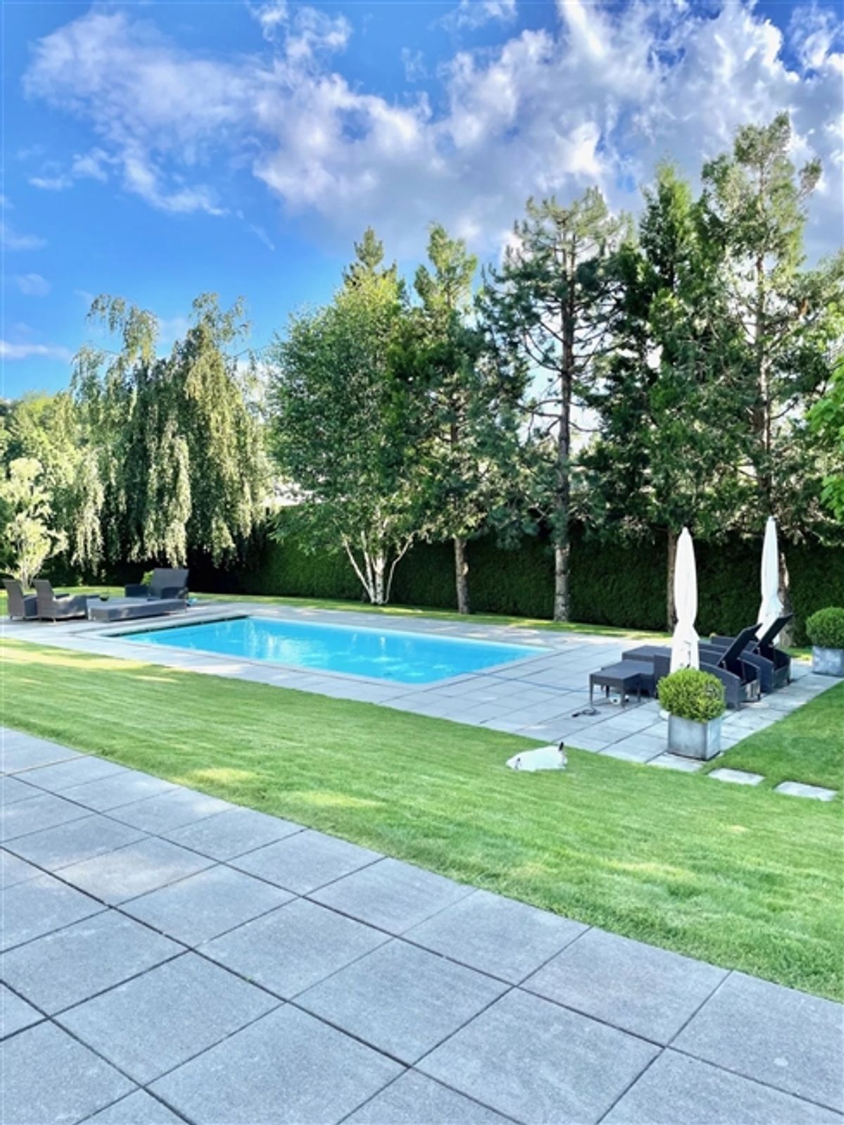 Großes zeitgenössisches Villa von 500m², Pool, ruhig, Aussicht auf den Jura - 1