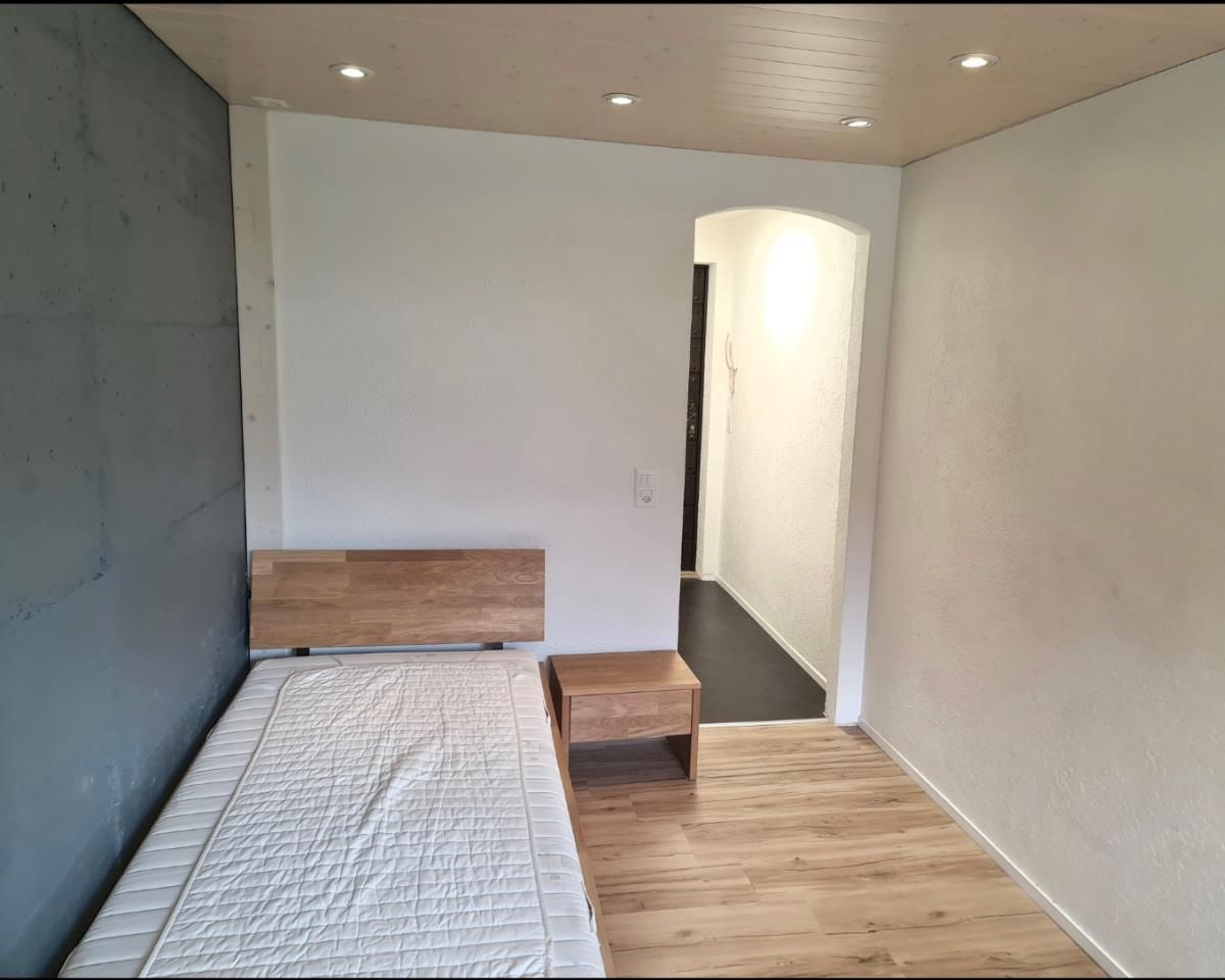 1 Zimmer Wohnung - 0