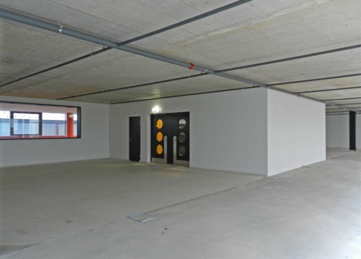 Moderne Bürofläche an attraktiver Lage in Zürich Albisrieden - 3