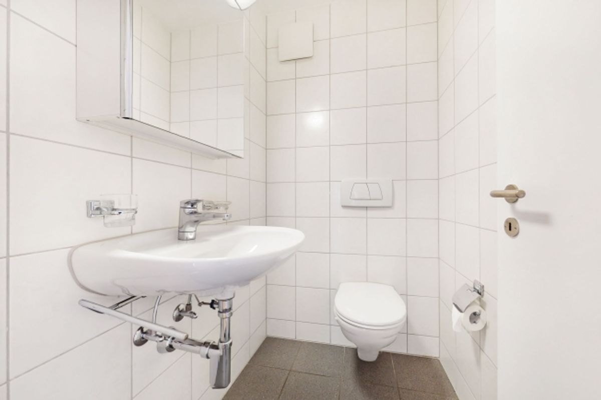 Wohnen im Szene-Quartier "Züri-West" - 7