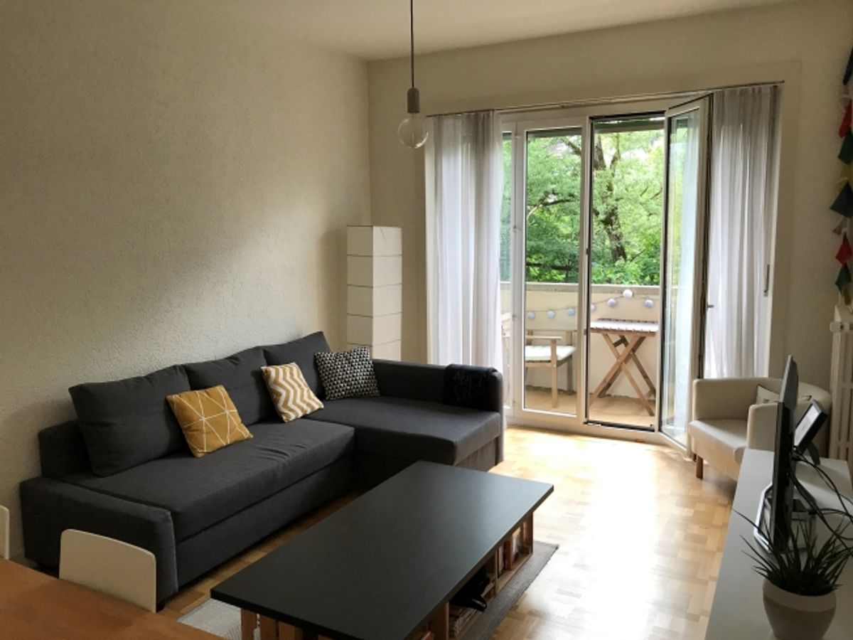 Agréable appartement à Plainpalais - 3