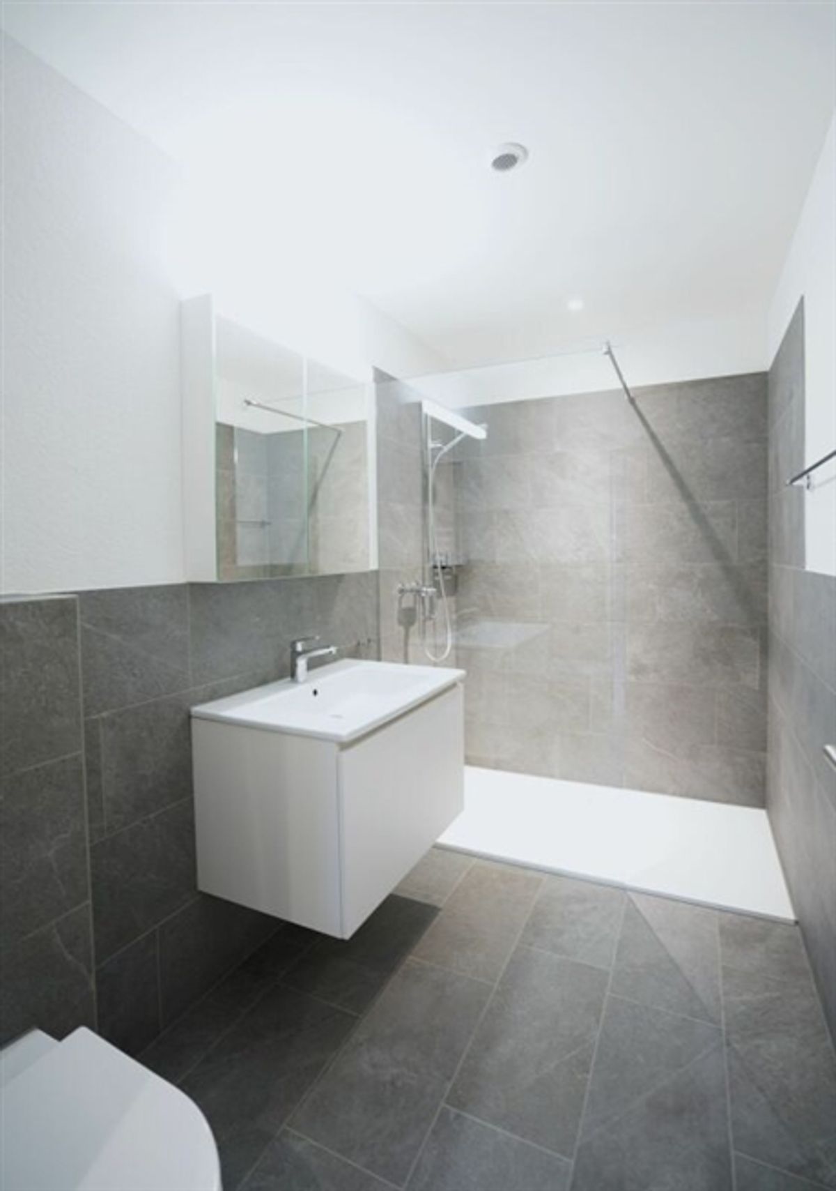 Herznach / 3.5 Zimmer-Wohnung A-2.1 - 5