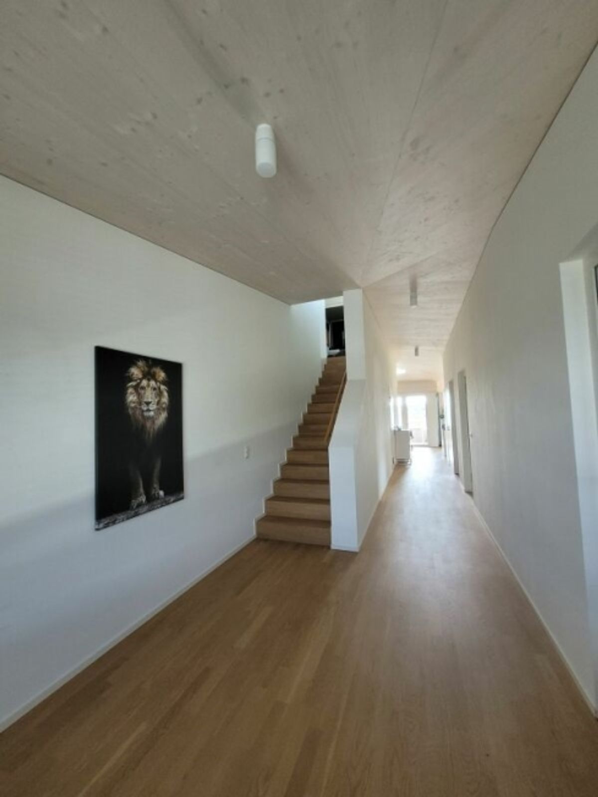 Lichtdurchflutete Maisonettewohnung mit grosszügigem Grundriss - 4