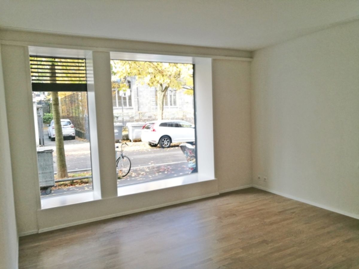 Saniert - charmant - grosszügig - mitten in Zürich! - 3