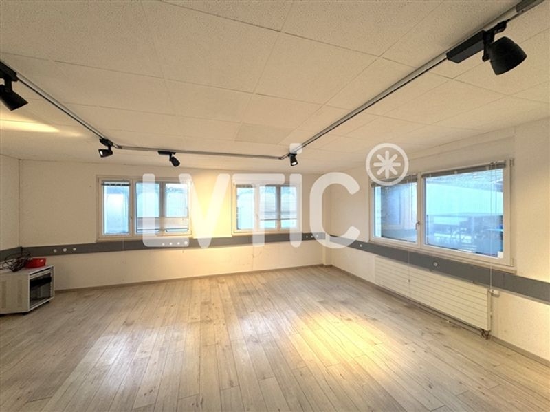 Werkstatt, Lager, Büros 1500 m2 teilbar zu vermieten in Villeneuve - 4