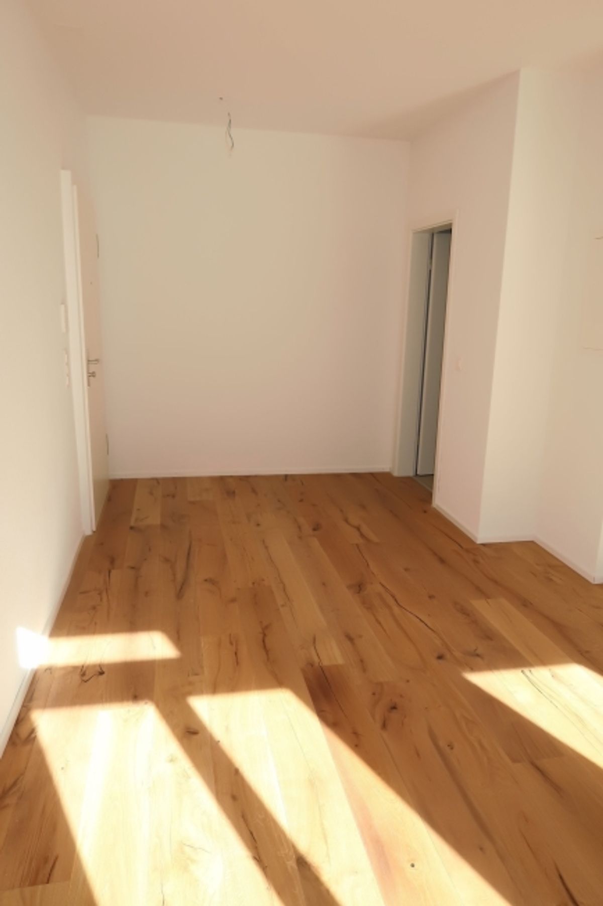 Singlewohnung sucht Sie. - 4