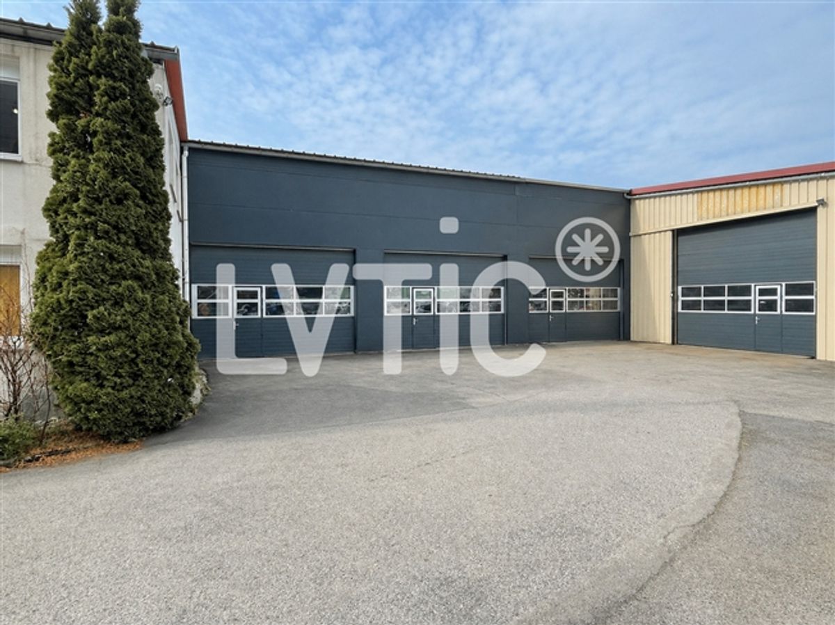 Werkstatt, Lager, Büros 1500 m2 teilbar zu vermieten in Villeneuve - 0